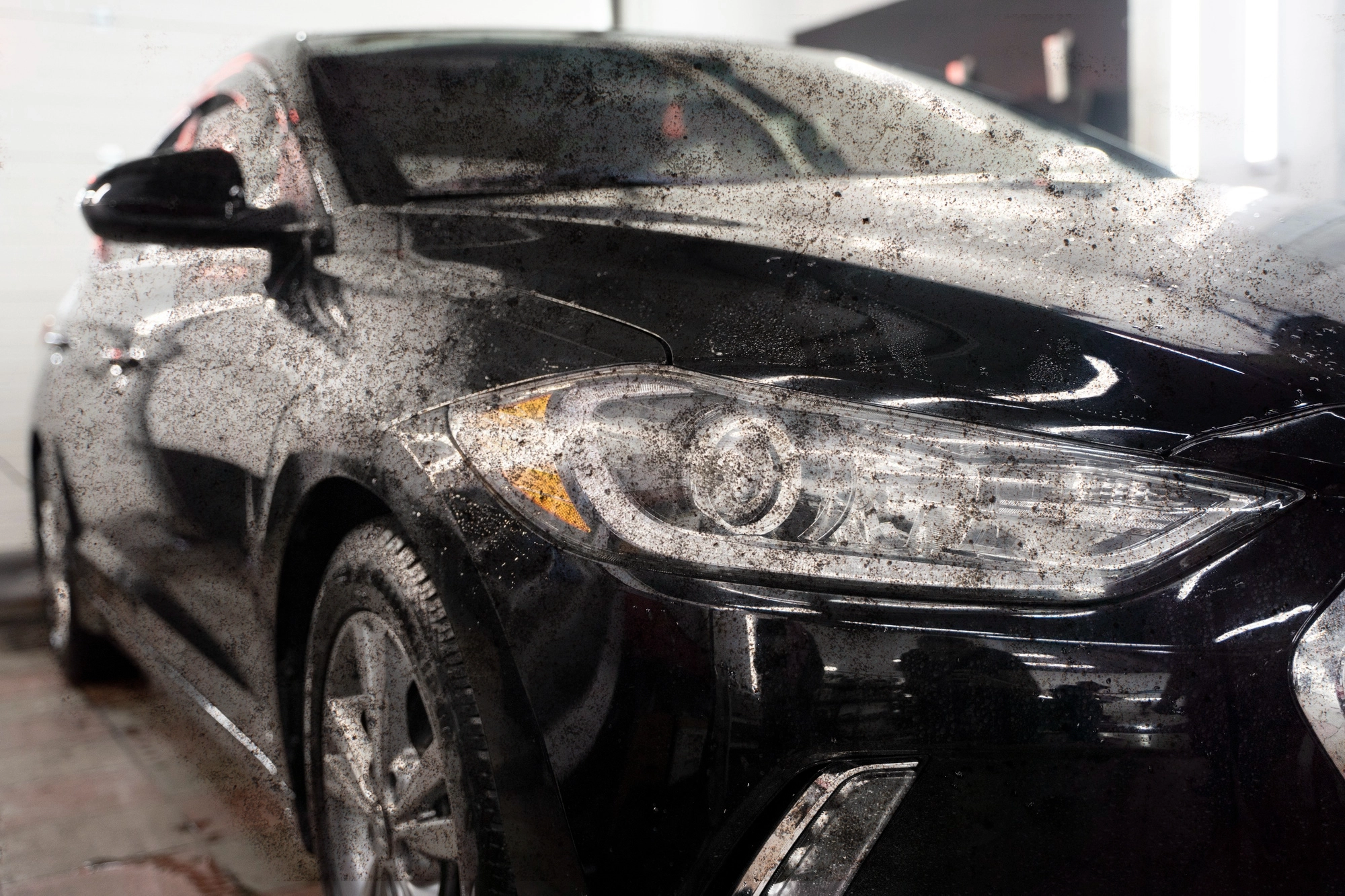 Antes del detailing